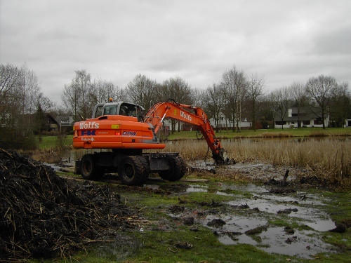 Eikenven_13-3-2012_4_500x375