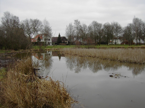 Eikenven_13-3-2012_5_500x375